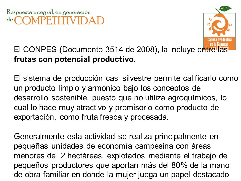 El CONPES (Documento 3514 de 2008), la incluye entre las frutas con potencial productivo.