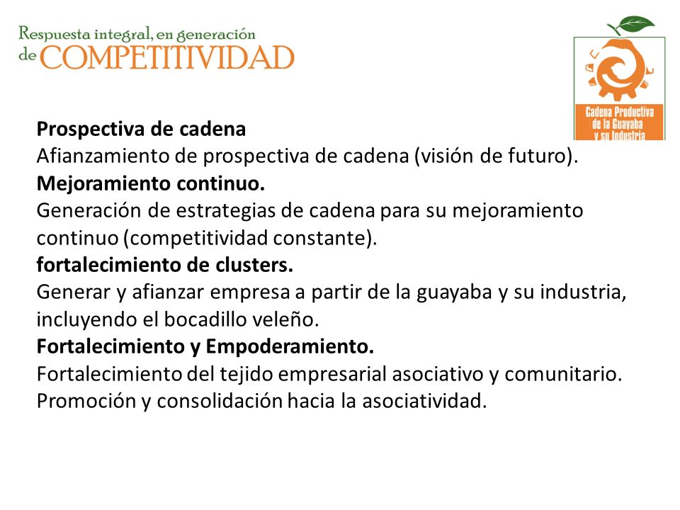 Prospectiva de cadena Afianzamiento de prospectiva de cadena (visión de futuro).