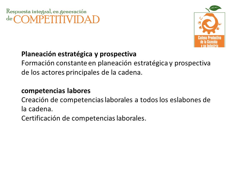 Planeación estratégica y prospectiva Formación constante en planeación estratégica y prospectiva de los actores principales de la cadena.