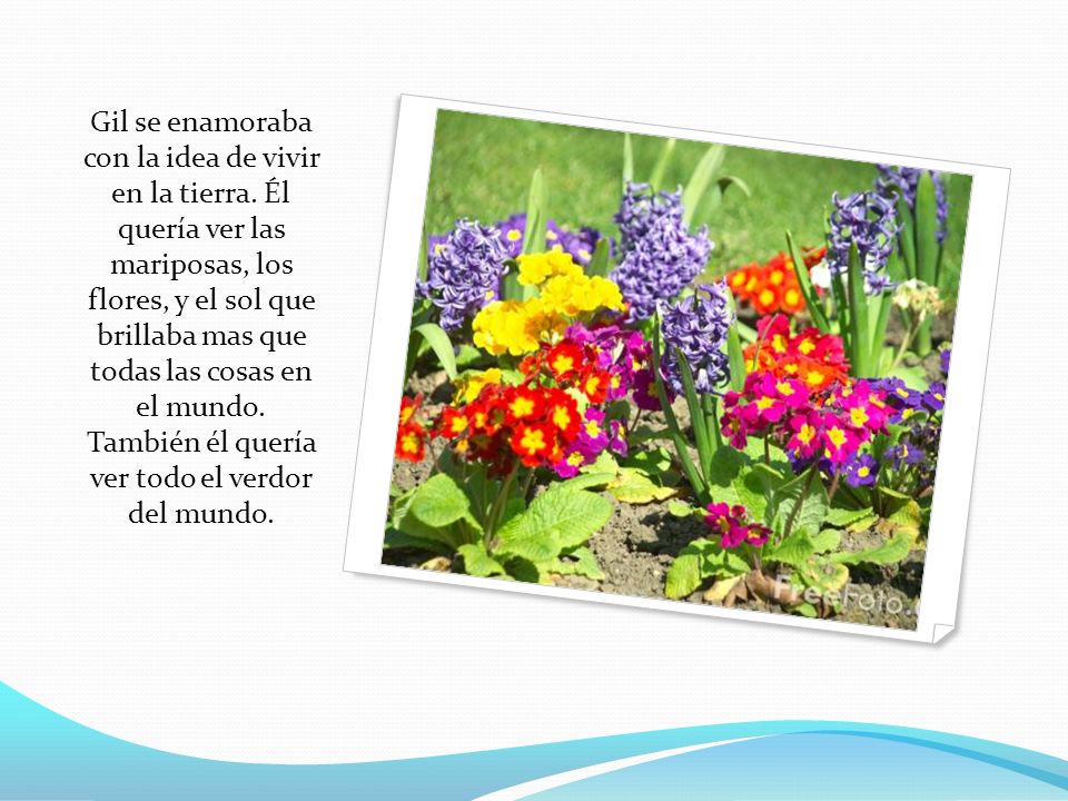 Gil se enamoraba con la idea de vivir en la tierra
