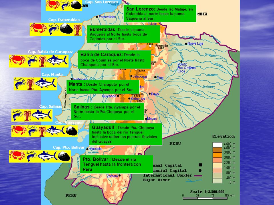 Manta : Desde Charapoto por el Norte hasta Pta. Ayampe por el Sur.