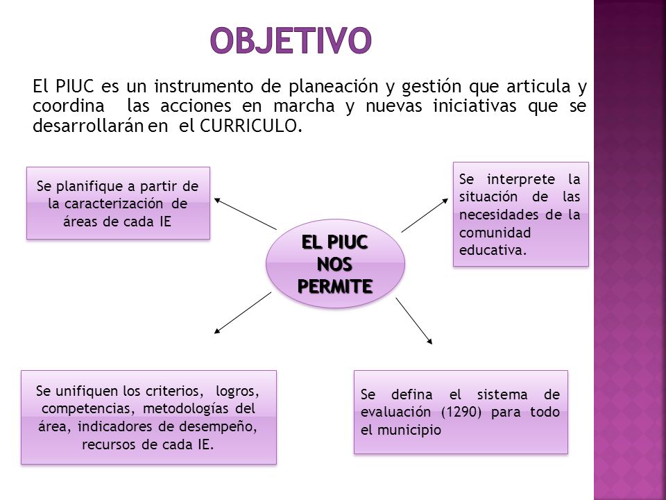 Se planifique a partir de la caracterización de áreas de cada IE
