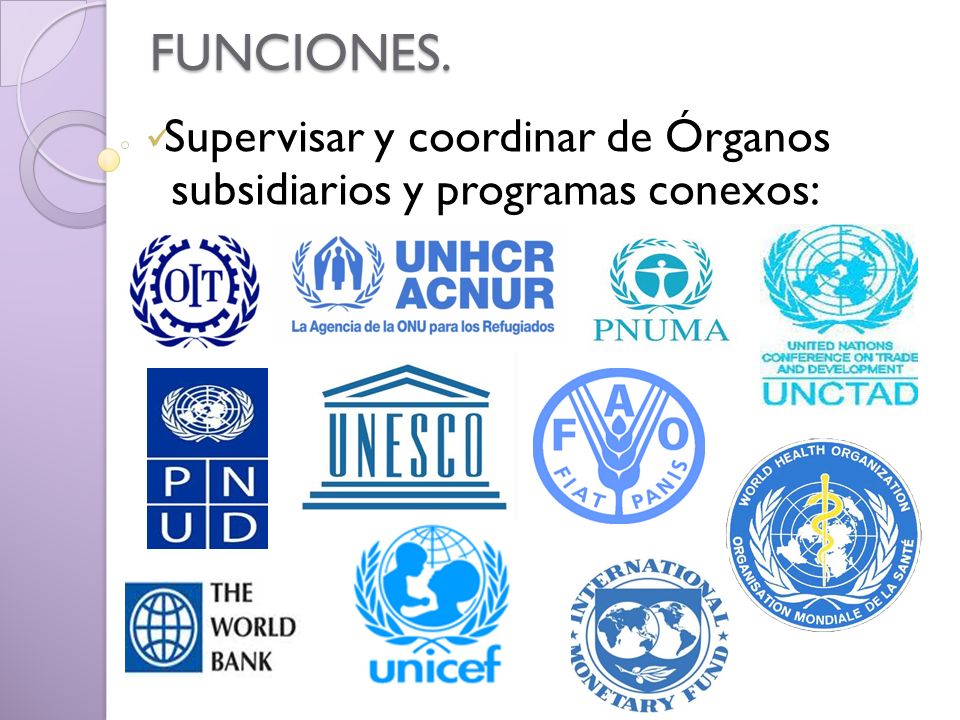 Supervisar y coordinar de Órganos subsidiarios y programas conexos: