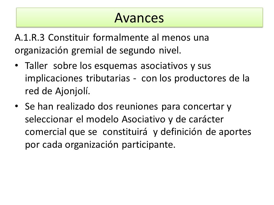 Avances A.1.R.3 Constituir formalmente al menos una organización gremial de segundo nivel.