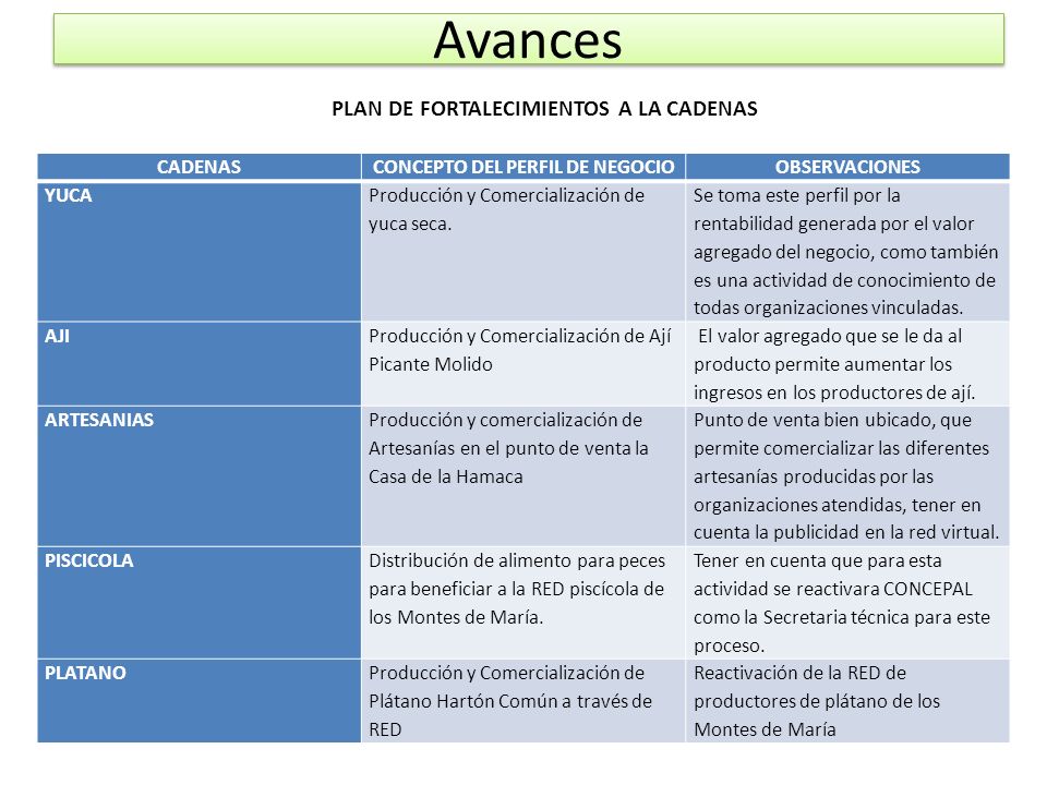 PLAN DE FORTALECIMIENTOS A LA CADENAS CONCEPTO DEL PERFIL DE NEGOCIO