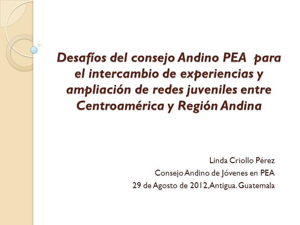 Desafíos del consejo Andino PEA para el intercambio de experiencias y ampliación de redes juveniles entre Centroamérica y Región Andina