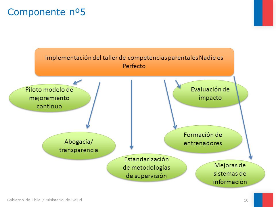 Componente nº5 Implementación del taller de competencias parentales Nadie es Perfecto. Evaluación de impacto.