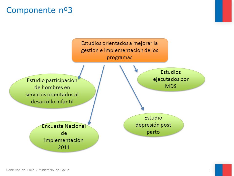 Componente nº3 Estudios orientados a mejorar la gestión e implementación de los programas. Estudios ejecutados por MDS.