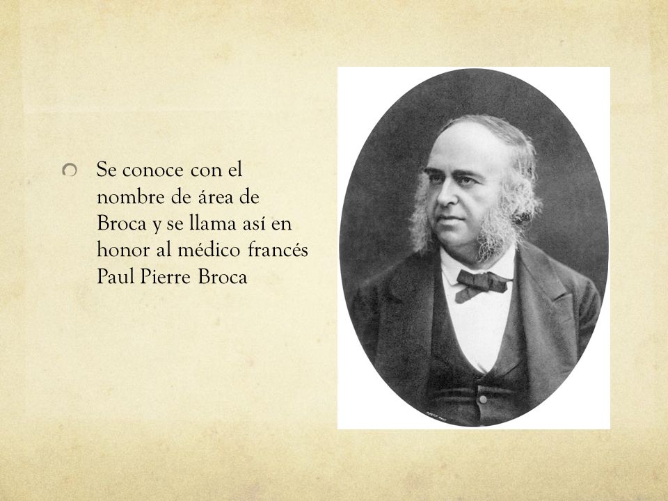 Se conoce con el nombre de área de Broca y se llama así en honor al médico francés Paul Pierre Broca