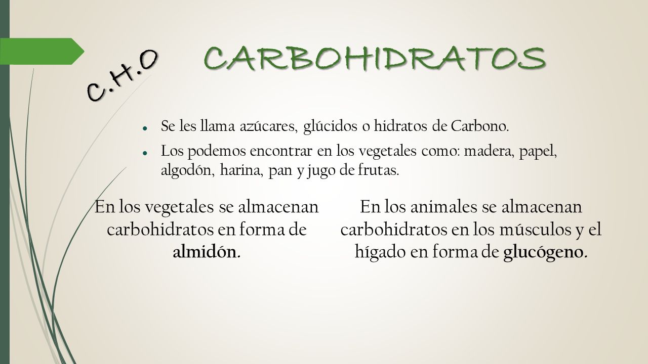 En los vegetales se almacenan carbohidratos en forma de almidón.