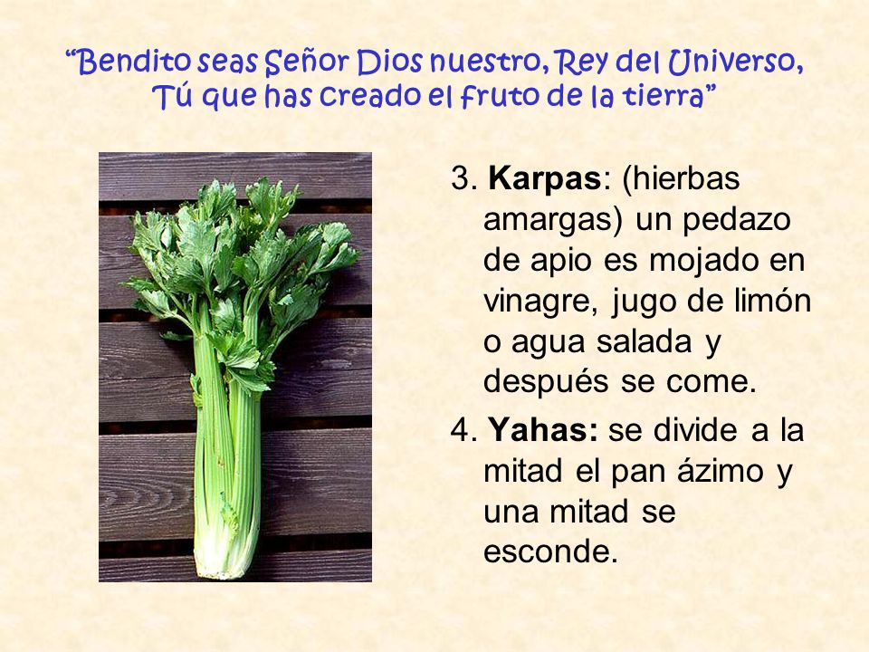 4. Yahas: se divide a la mitad el pan ázimo y una mitad se esconde.