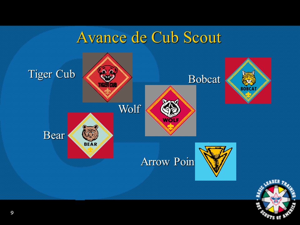 Avance de Cub Scout Tiger Cub Bobcat Wolf Bear Arrow Points