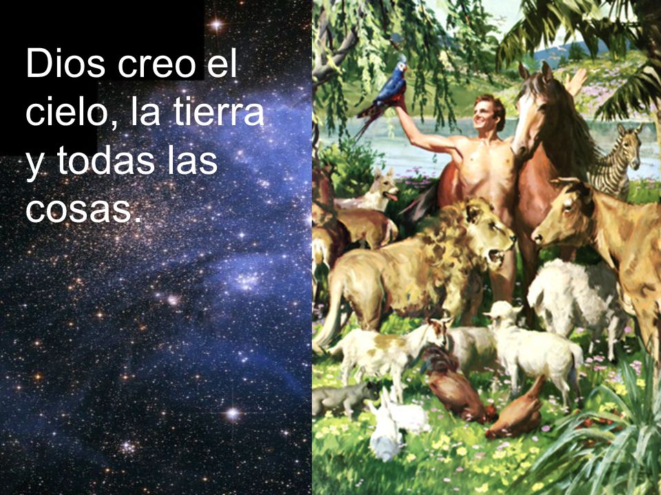 Dios creo el cielo, la tierra y todas las cosas.