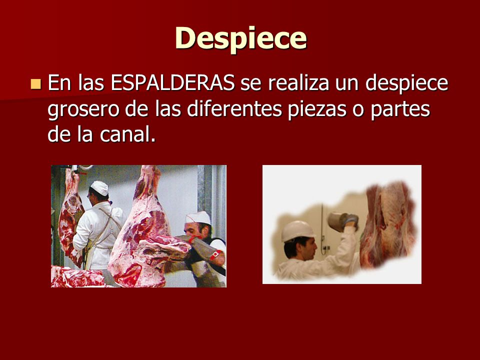 Despiece En las ESPALDERAS se realiza un despiece grosero de las diferentes piezas o partes de la canal.