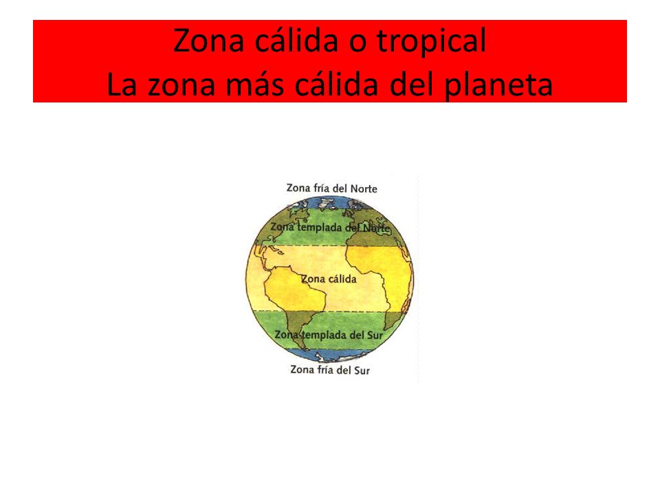 Zona cálida o tropical La zona más cálida del planeta