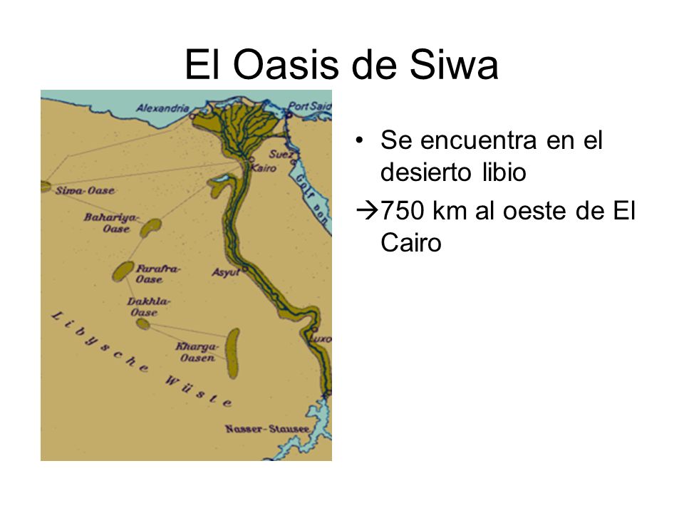 El Oasis de Siwa Se encuentra en el desierto libio