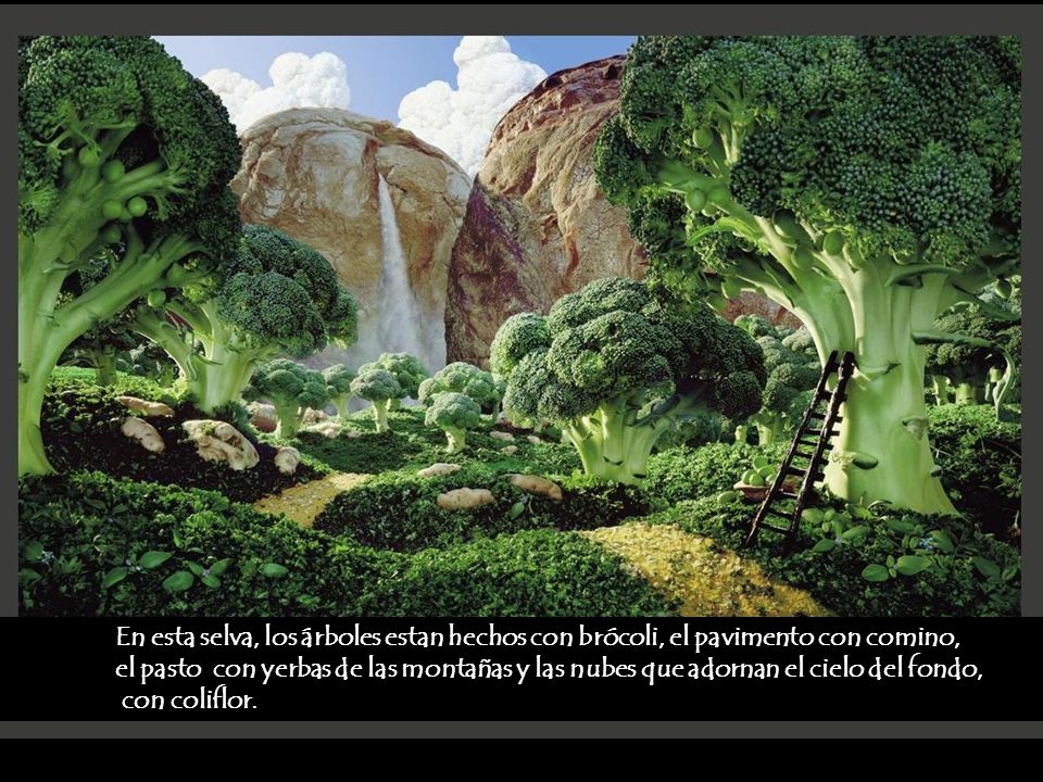 En esta selva, los árboles estan hechos con brócoli, el pavimento con comino,