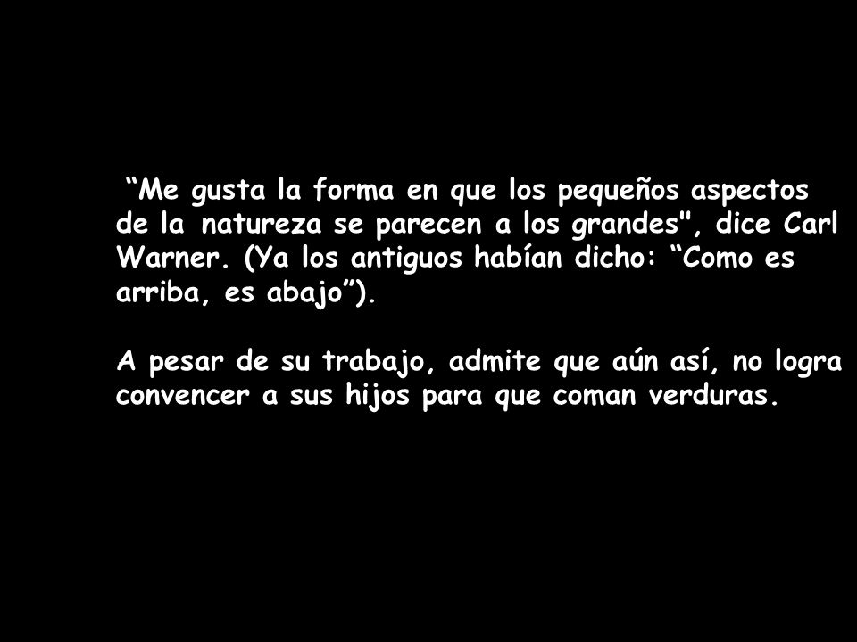 Me gusta la forma en que los pequeños aspectos. de la