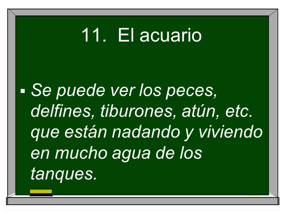 11. El acuario Se puede ver los peces, delfines, tiburones, atún, etc.