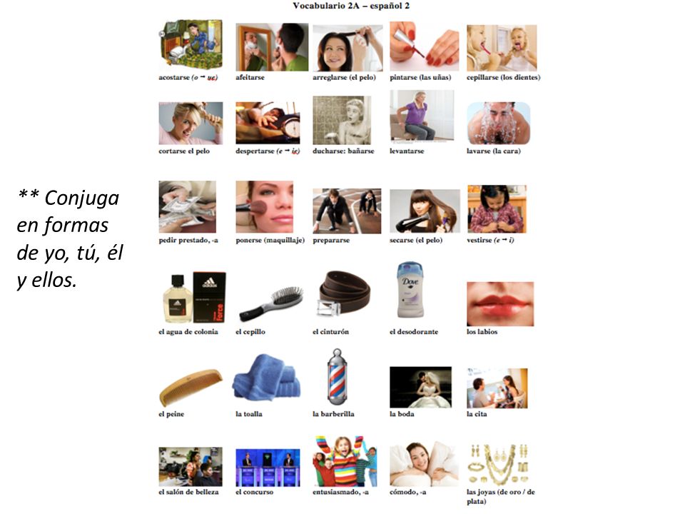 ** Conjuga en formas de yo, tú, él y ellos.