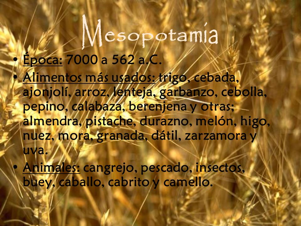 Mesopotamia Época: 7000 a 562 a.C.