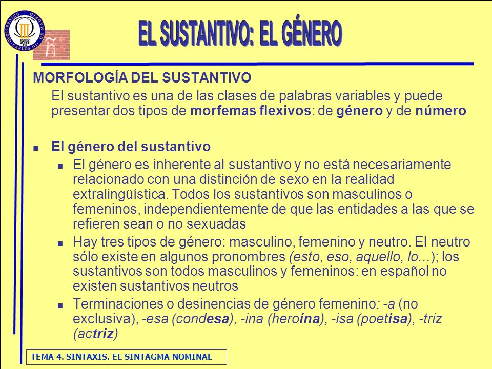 Esquema El Sintagma Nominal Ppt Video Online Descargar