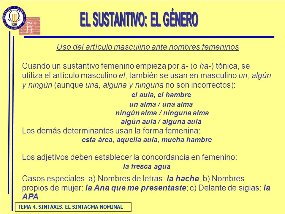 EL SUSTANTIVO: EL GÉNERO esta área, aquella aula, mucha hambre