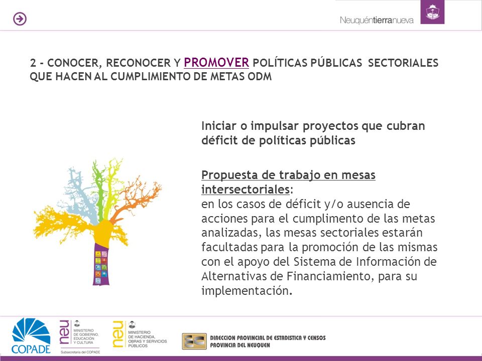 2 - CONOCER, RECONOCER Y PROMOVER POLÍTICAS PÚBLICAS SECTORIALES QUE HACEN AL CUMPLIMIENTO DE METAS ODM