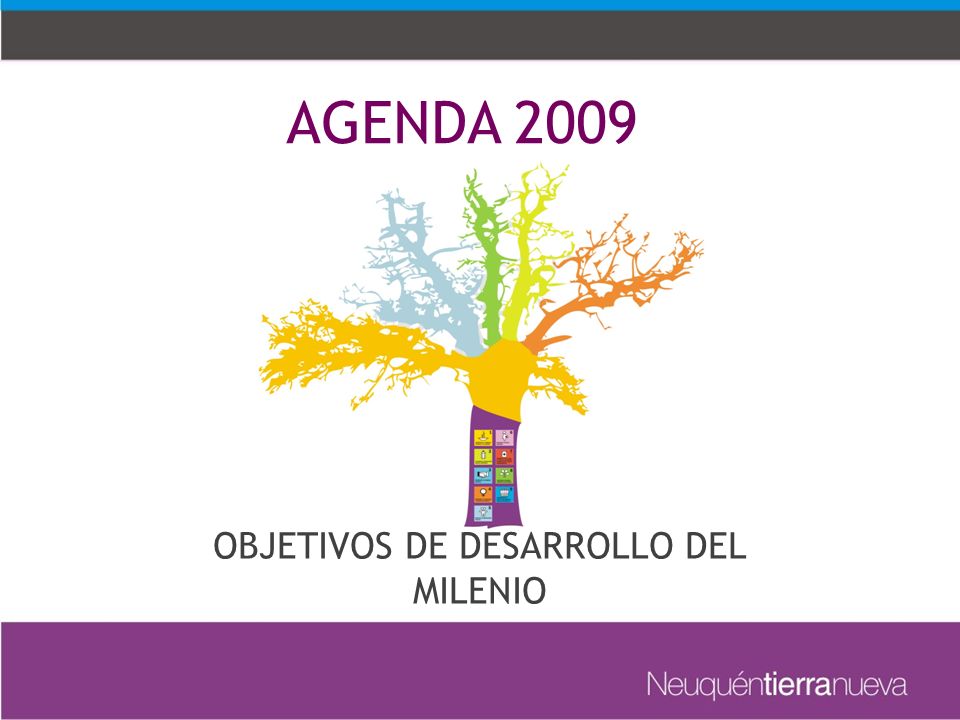 OBJETIVOS DE DESARROLLO DEL MILENIO