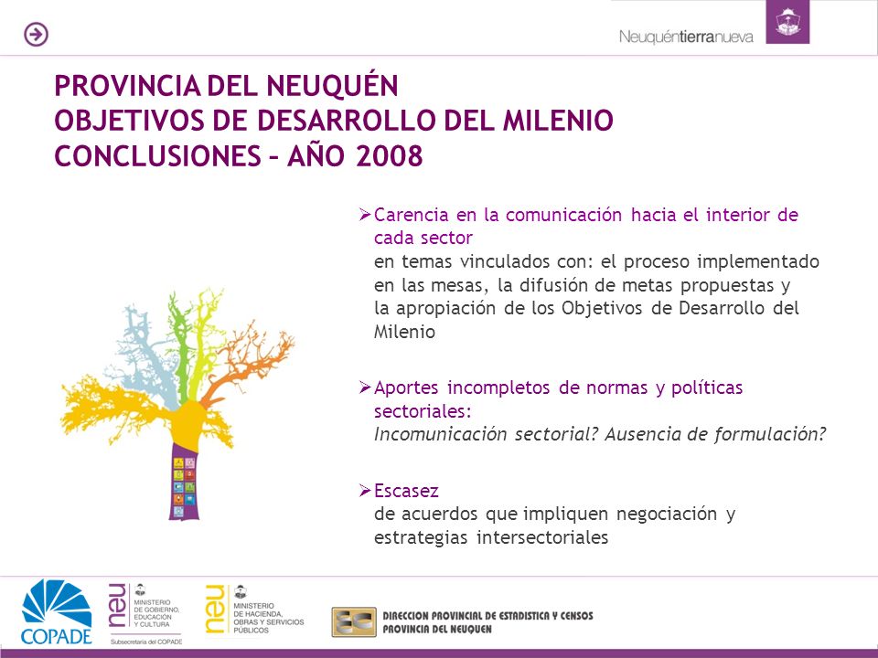 PROVINCIA DEL NEUQUÉN OBJETIVOS DE DESARROLLO DEL MILENIO CONCLUSIONES – AÑO 2008