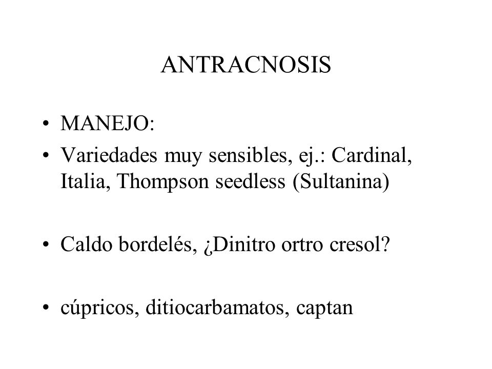 ANTRACNOSIS MANEJO: Variedades muy sensibles, ej.: Cardinal, Italia, Thompson seedless (Sultanina)