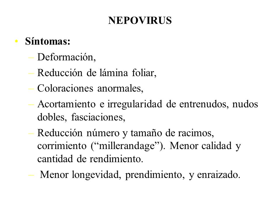 NEPOVIRUS Síntomas: Deformación, Reducción de lámina foliar, Coloraciones anormales,