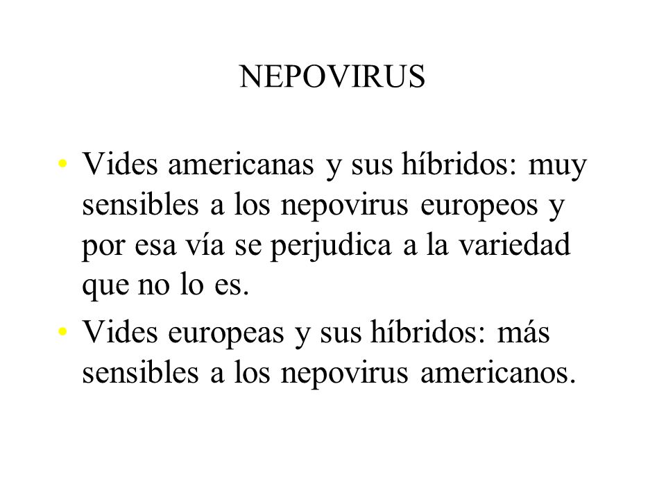 NEPOVIRUS Vides americanas y sus híbridos: muy sensibles a los nepovirus europeos y por esa vía se perjudica a la variedad que no lo es.