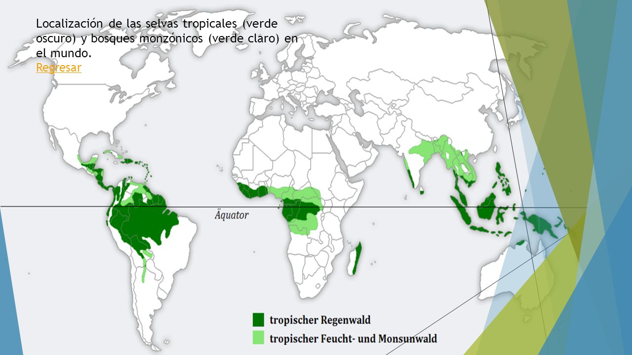 Localización de las selvas tropicales (verde oscuro) y bosques monzónicos (verde claro) en el mundo.