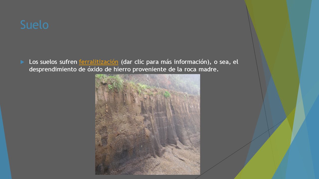 Suelo Los suelos sufren ferralitización (dar clic para más información), o sea, el desprendimiento de óxido de hierro proveniente de la roca madre.