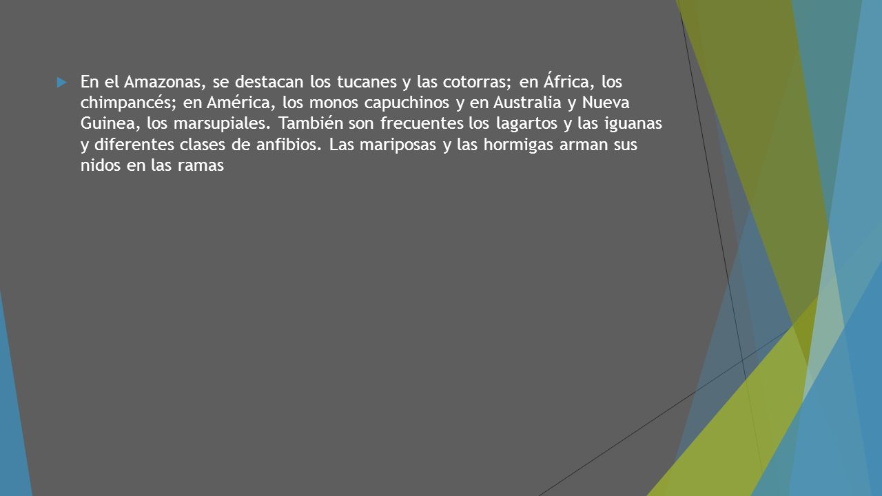 En el Amazonas, se destacan los tucanes y las cotorras; en África, los chimpancés; en América, los monos capuchinos y en Australia y Nueva Guinea, los marsupiales.