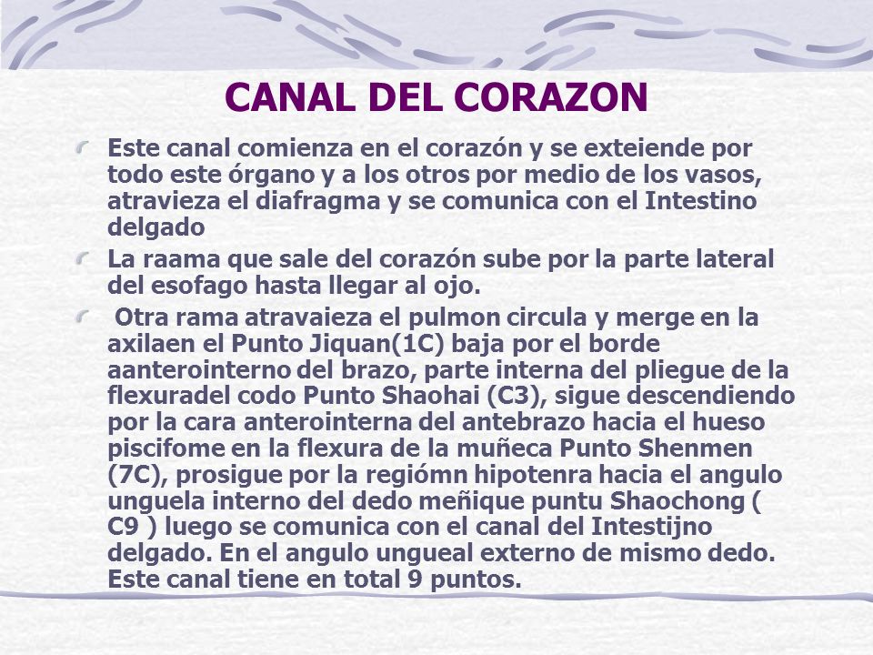 CANAL DEL CORAZON