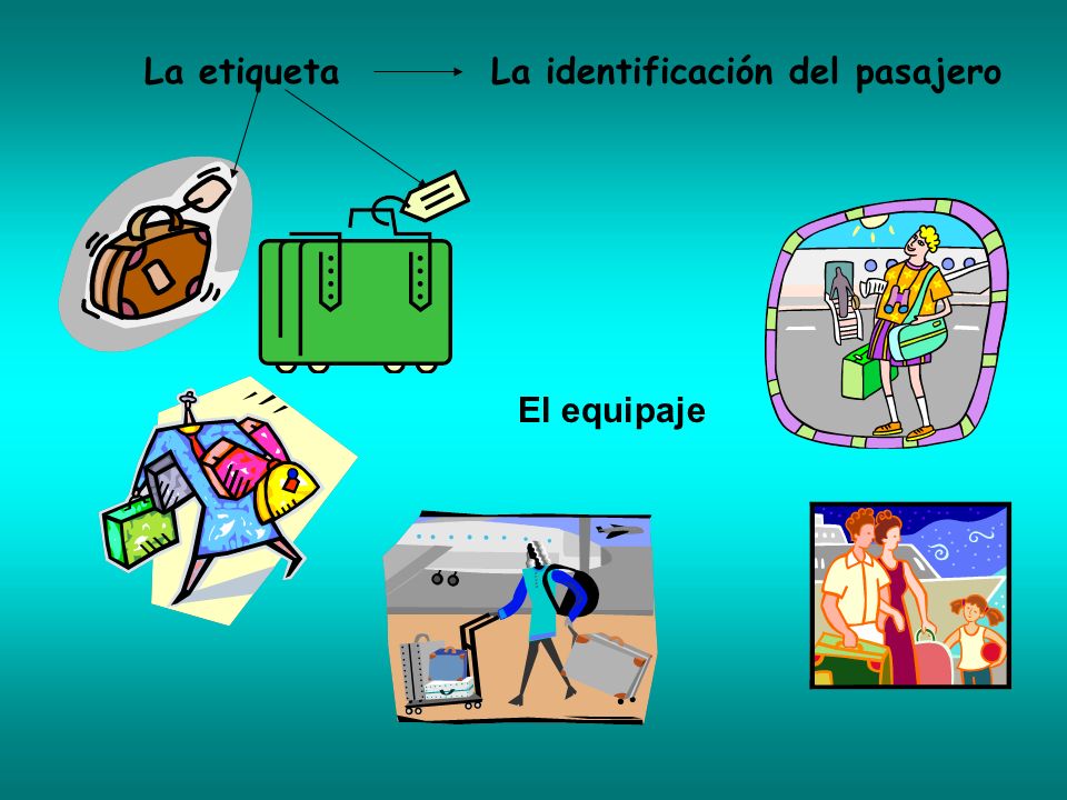 La etiqueta La identificación del pasajero El equipaje