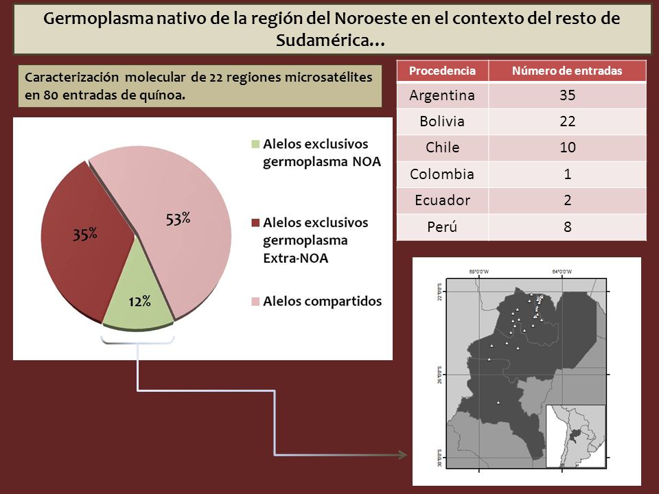 Germoplasma nativo de la región del Noroeste en el contexto del resto de Sudamérica…