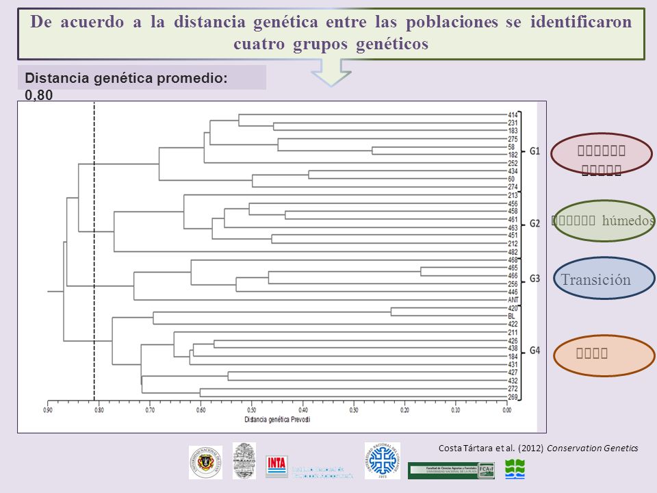 De acuerdo a la distancia genética entre las poblaciones se identificaron cuatro grupos genéticos