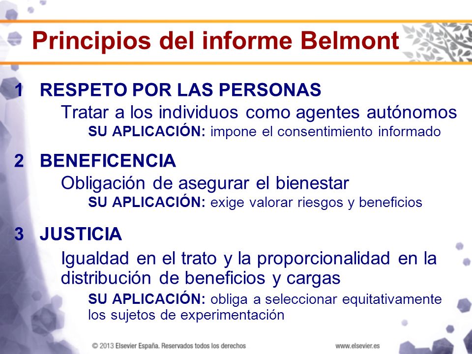 Principios del informe Belmont