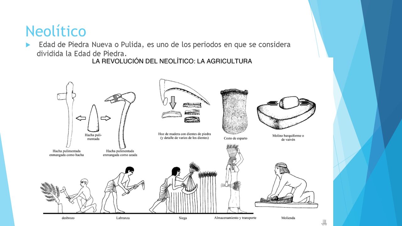Neolítico Edad de Piedra Nueva o Pulida, es uno de los periodos en que se considera dividida la Edad de Piedra.