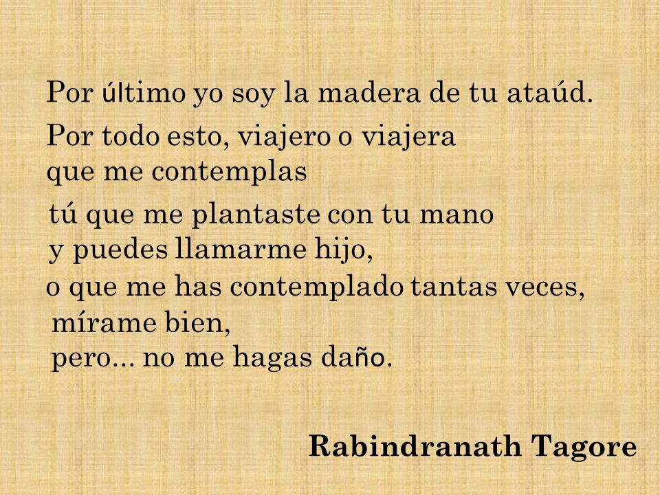 Por último yo soy la madera de tu ataúd.