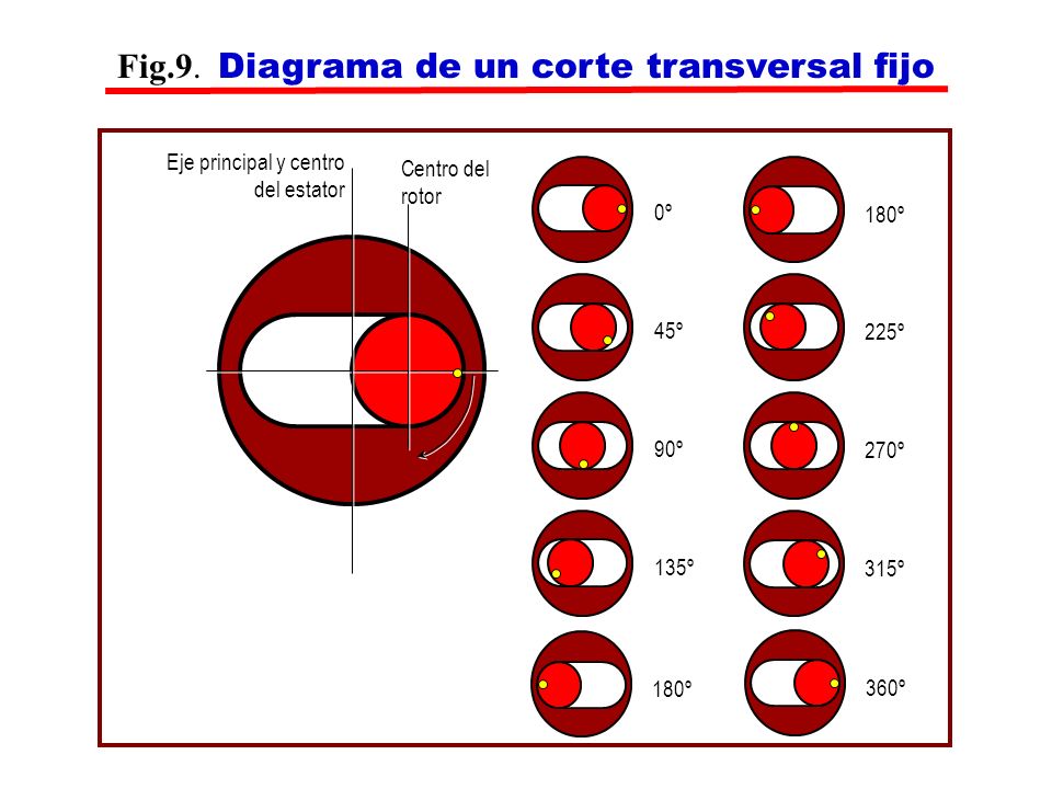 Fig.9. Diagrama de un corte transversal fijo
