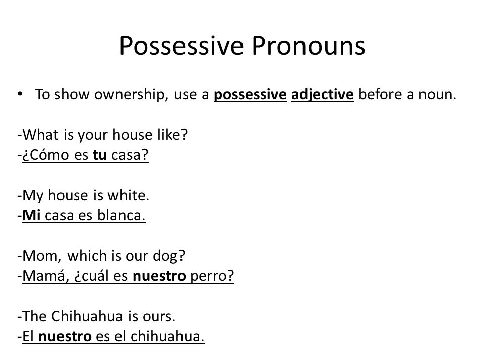 Possessive Pronouns To show ownership, use a possessive adjective before a noun. -What is your house like