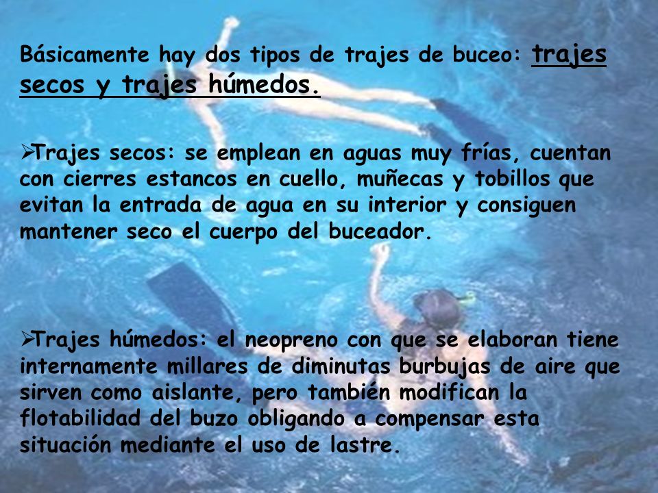 Básicamente hay dos tipos de trajes de buceo: trajes secos y trajes húmedos.