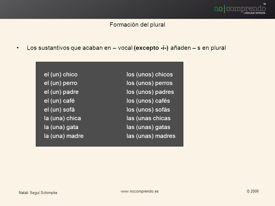 el (un) chico los (unos) chicos el (un) perro los (unos) perros