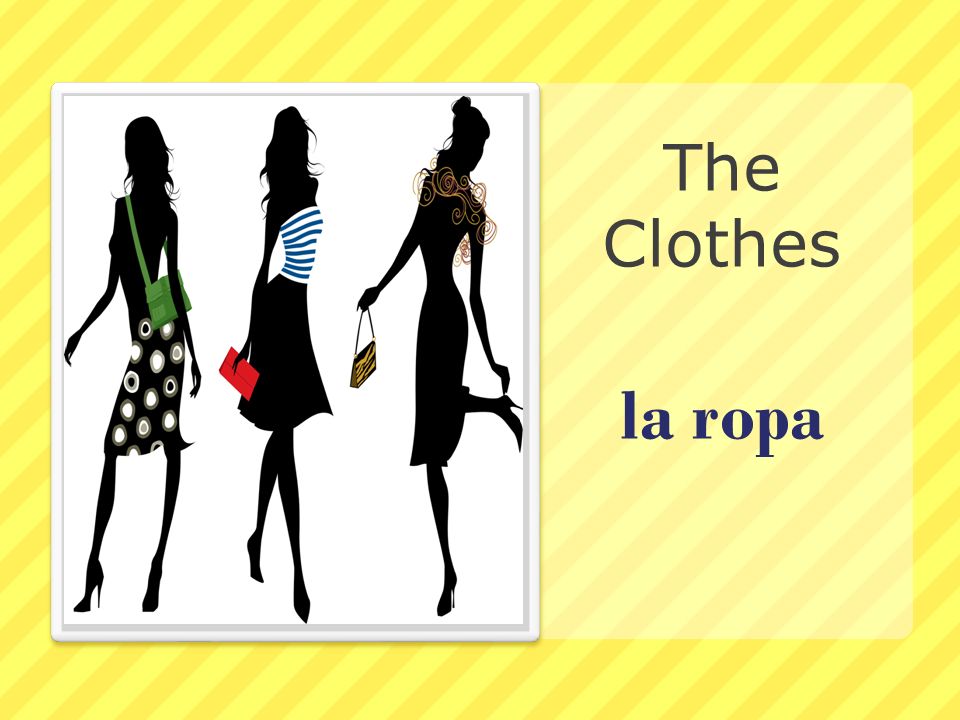 The Clothes la ropa