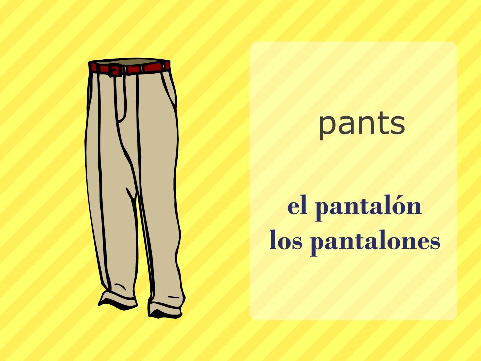 el pantalón los pantalones