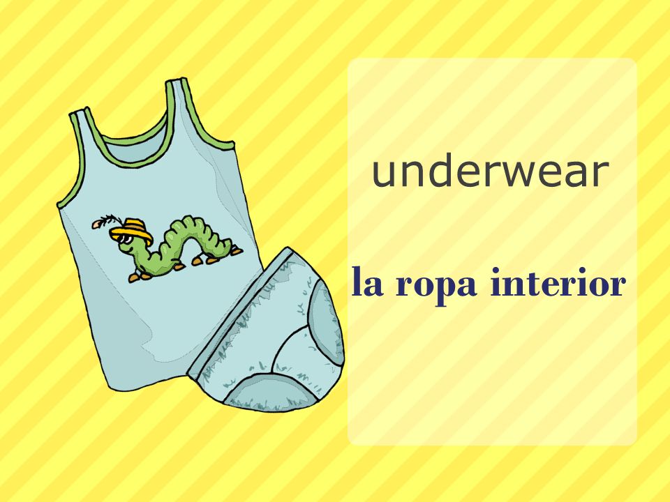 underwear la ropa interior